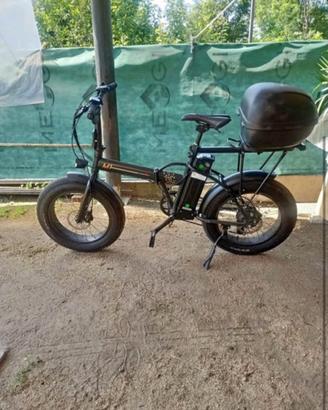 fatbike