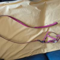 guinzaglio per cani piccola taglia