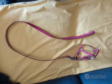 guinzaglio per cani piccola taglia