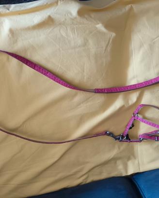 guinzaglio per cani piccola taglia