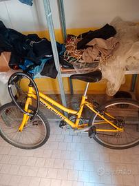 Bici da corsa 