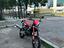 Immagine 3