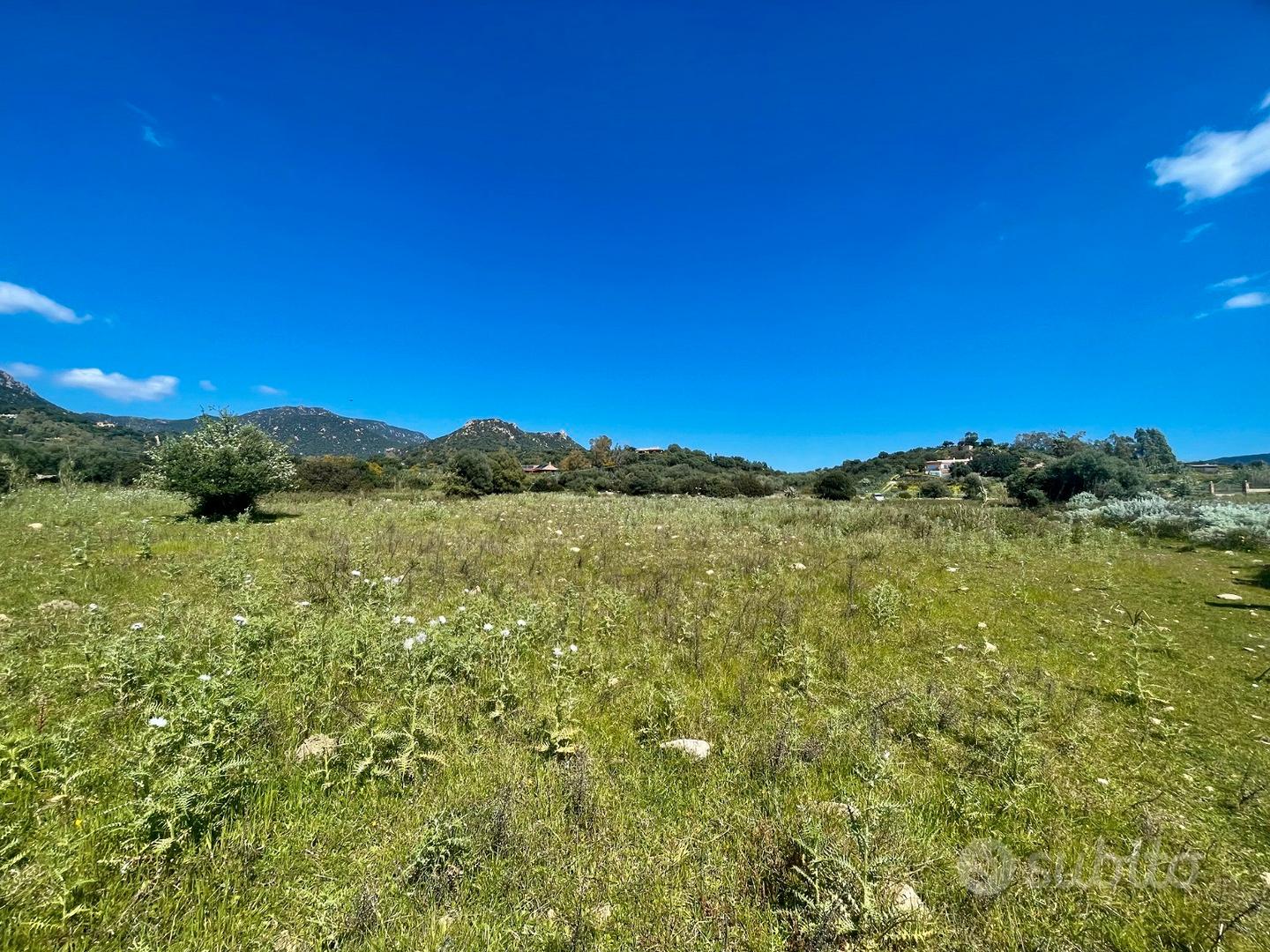 Terreno pianeggiante con rustico - Vista 5