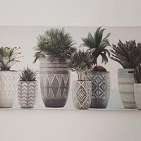 quadri da cucina e sala del 2022