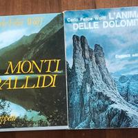Lotto due libri di Carlo Felice Wolff