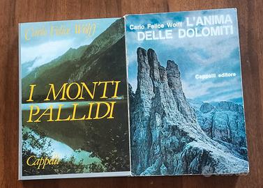 Lotto due libri di Carlo Felice Wolff