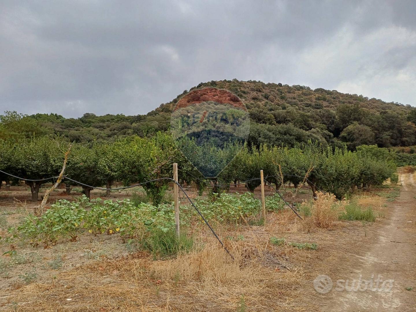 Terreno - Chiaramonte Gulfi - Vista 5