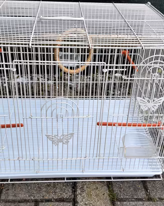 Gabbia per uccelli / canarini