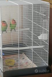 Inseparabili