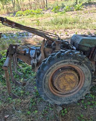 motocoltivatore  pasquali 18cv