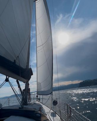 Beneteau Oceanis 323 natante