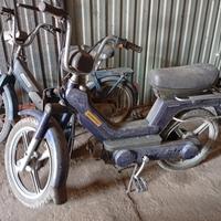 un Ciao,un Grillo,un Si piaggio tutti assieme 