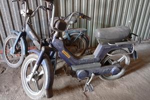 un Ciao,un Grillo,un Si piaggio tutti assieme 