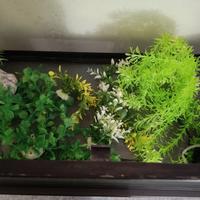 acquario cm 56 x 84,5 x 36