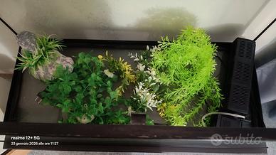 acquario cm 56 x 84,5 x 36