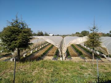 Archi per serra tunnel, fungaie, ricovero
