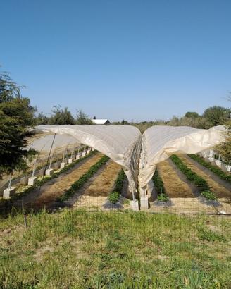 Archi per serra tunnel, fungaie, ricovero