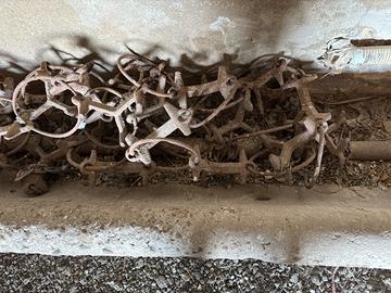 Dissipatori per terreno