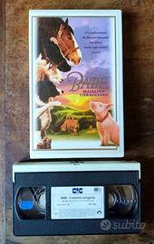 VHS Film BABE MAIALINO CORAGGIOSO 1995 