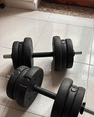 Manubri regolabili 30kg