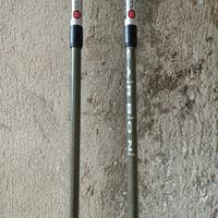 Bastoni da sci e trekking