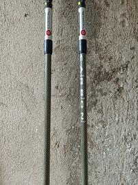 Bastoni da sci e trekking