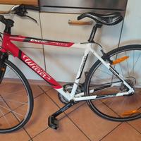 bici  triestina wilier escape