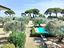 Immagine 18
