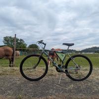 Mountain bike BMZ con cambio Shimano 12-15 anni