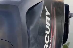 motore mercury 115 efi 4t