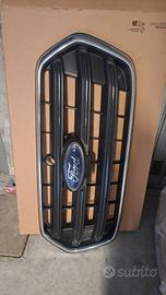 Mascherina Ford Transit 2022