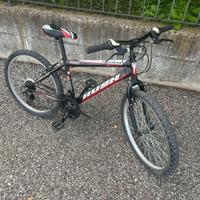 Bicicletta da bambino