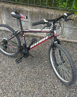 Bicicletta da bambino