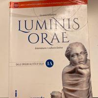 Luminis orae 1A: dalle origini all’età di silla
