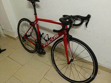 focus izalco bdc 