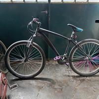 mtb Hogan modificata