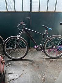 mtb Hogan modificata