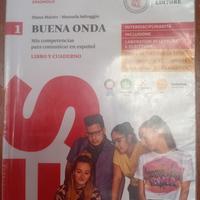 libro di spagnolo 5 anno usato