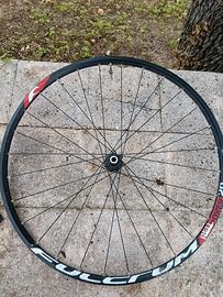Cerchio in alluminio mtb 29 Fulcrum red  power