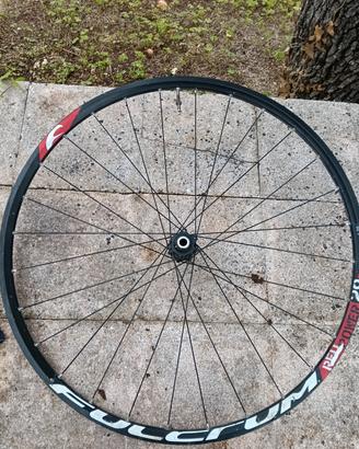 Cerchio in alluminio mtb 29 Fulcrum red  power