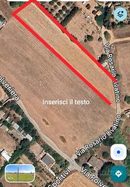 Elmas Terreno 4400 mq