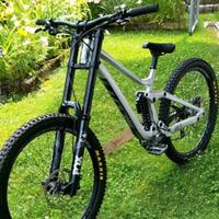 Scott gambler 920