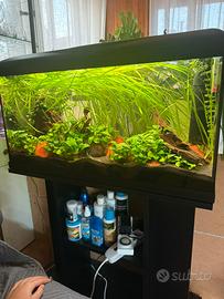 Acquario 85 litri completo