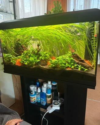 Acquario 85 litri completo