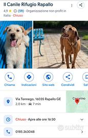 Manubrio condorino x Rifugio di Rapallo