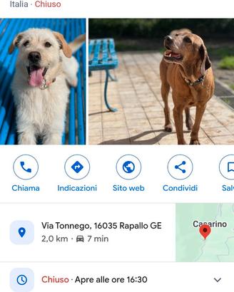 Manubrio condorino x Rifugio di Rapallo