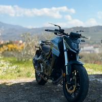 Honda Hornet CB750 (02/2025)