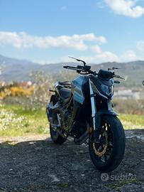 Honda Hornet CB750 (02/2025)