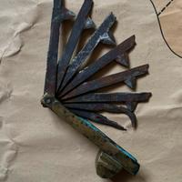 Antico strumento per salasso veterinario