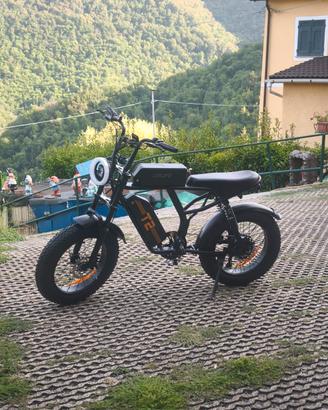 Bici elettrica E-BIKE T2
